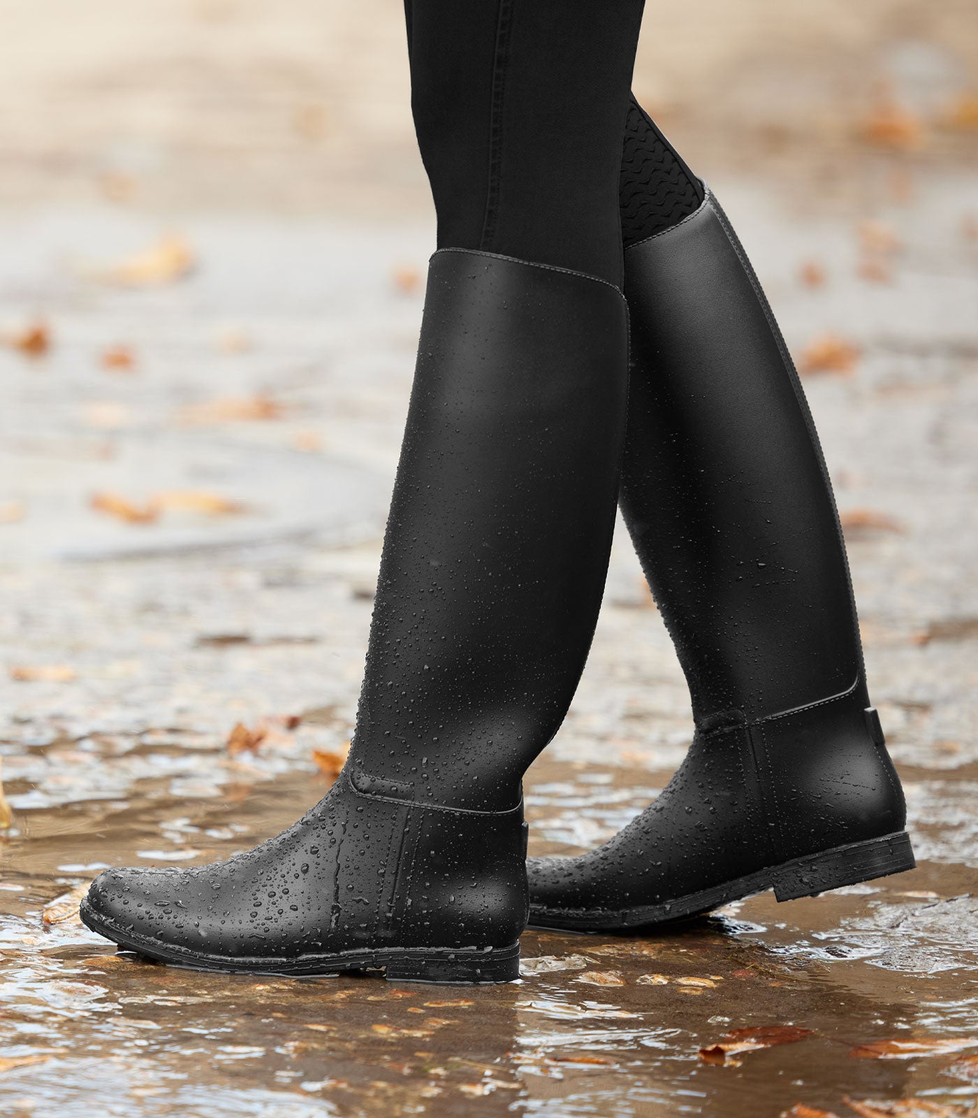 Buty jeździeckie - gwiazda